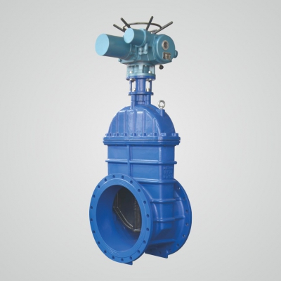 Z945X/RVEX Electric elastic seat seal gate valve
