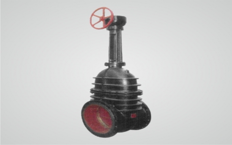 Z541T/W Gear unit rising stem wedge gate valve